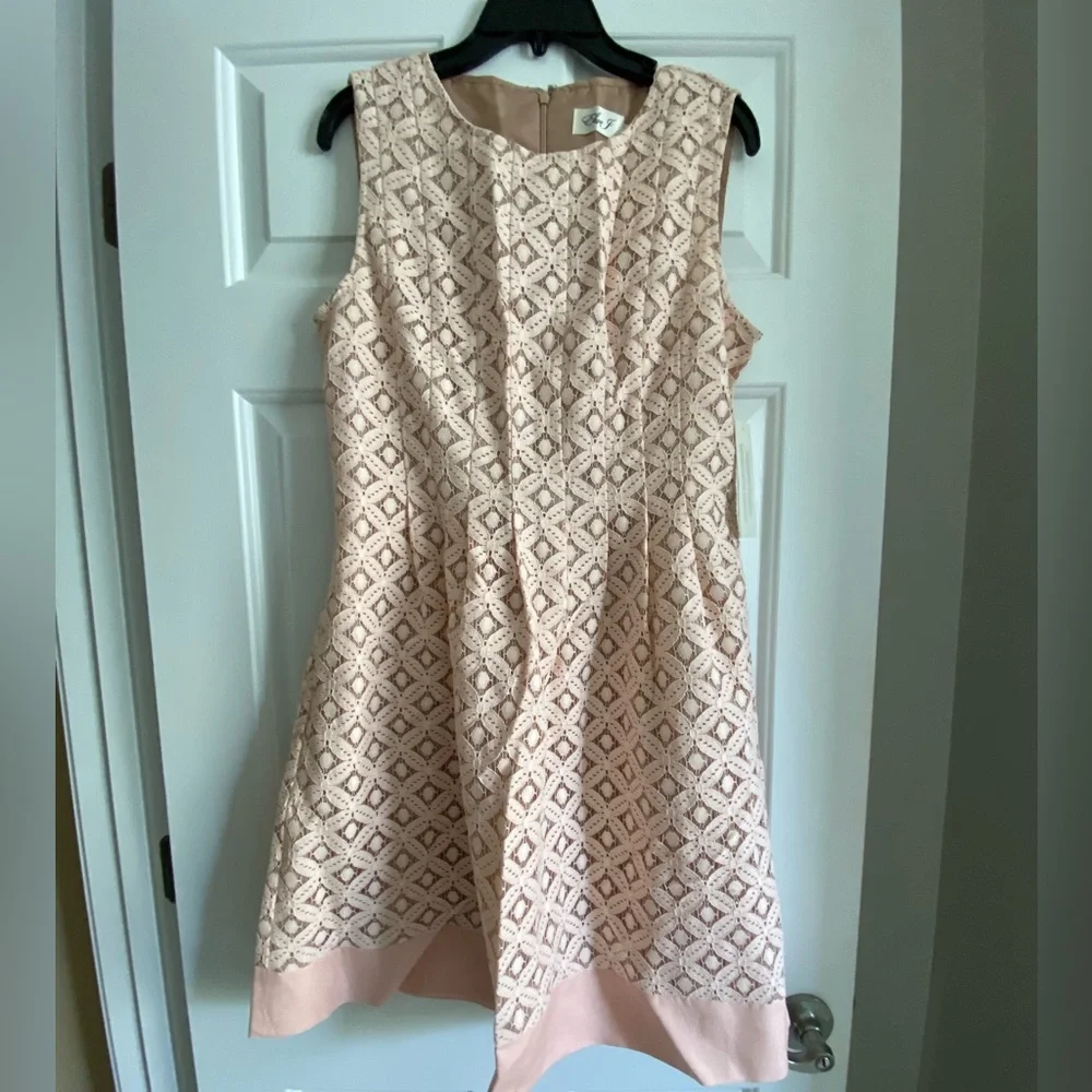 NWT Eliza J Lace Pleated Waist Flare Dress 10